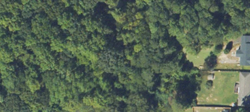 Wooded Lot in Cobb County
