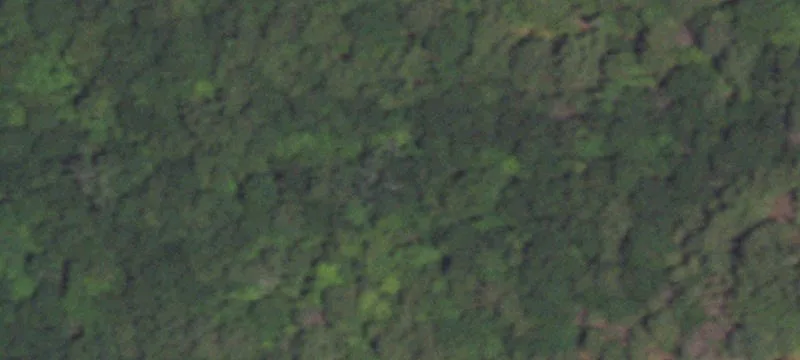 Residential Land with Wooded Privacy