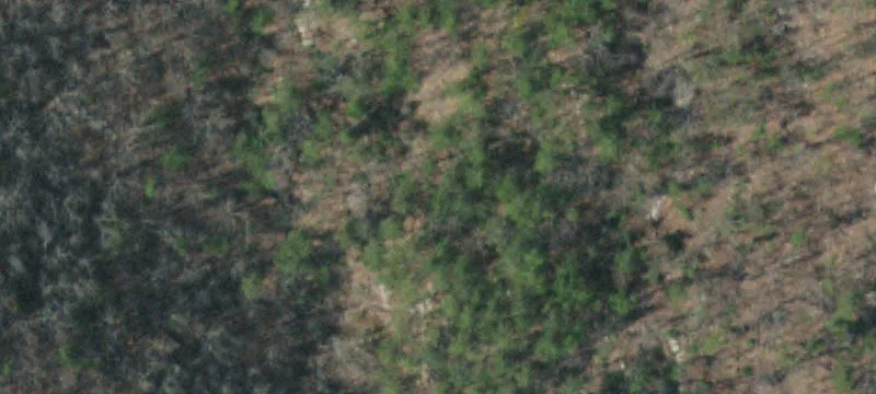 99+ Acre Mountain Property