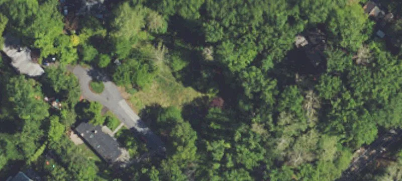 Wooded Lot Near Downtown Media