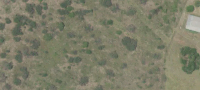 Lockhart Acreage with Stocked Pond