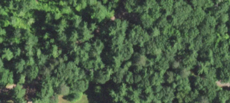 Versatile Waterfront Property on Blueberry Lake