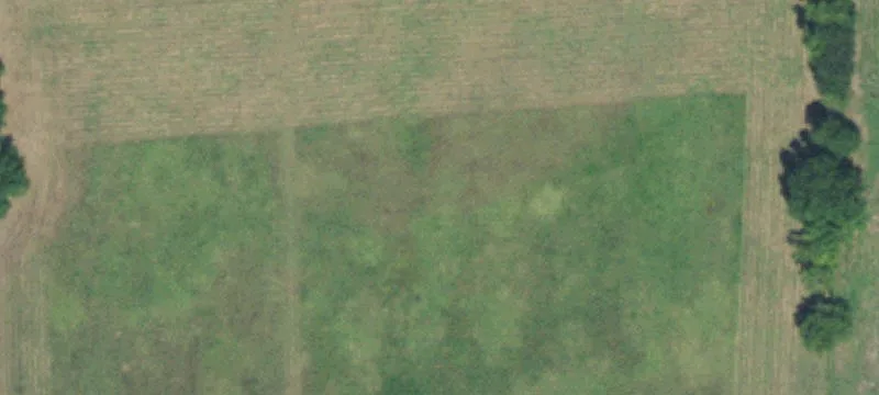 Versatile Acreage with Agricultural Potential
