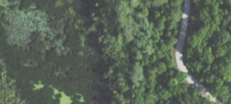 Lake Olympia Homesite Opportunity