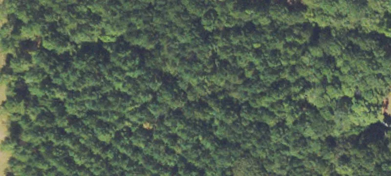 Land with Rezoning Potential