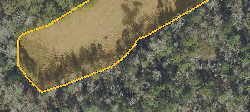 Unique Ranch Homestead Near Tallahassee