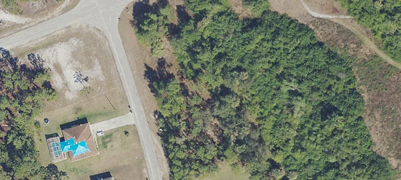 Oversized Lot with Woods View