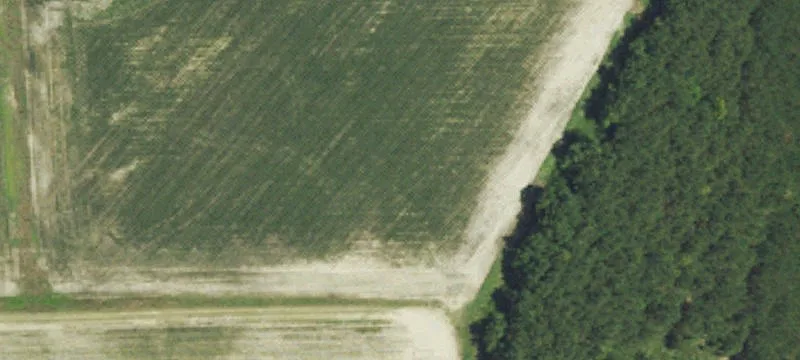 Wilson County Land For Sale