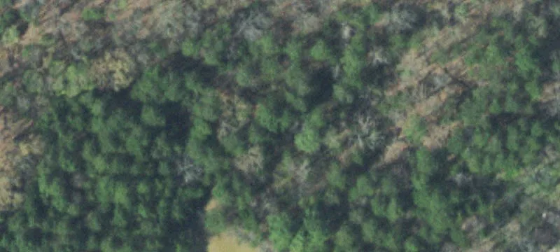 Forested Land with Hidden Lake