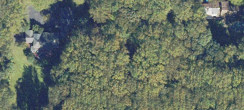 Serene 3-Acre Wooded Lot
