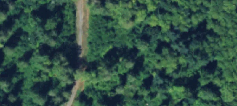Hansville Land Ready For Home
