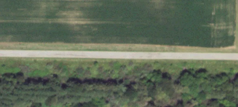 Premier Hunting Farm with Income