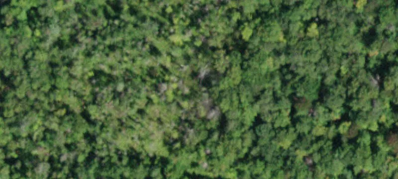 Catskills A-Frame with Proven Income