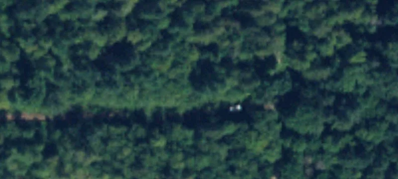 Forested Acreage in Rural Roy