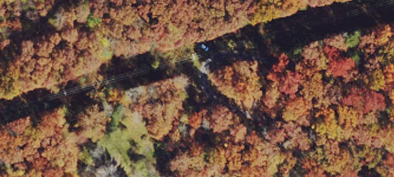 Versatile Land Parcel in Russelville
