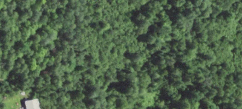 Vacant Land Near Couderay