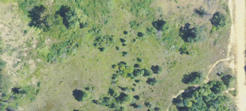 79.9 Acres Land For Sale
