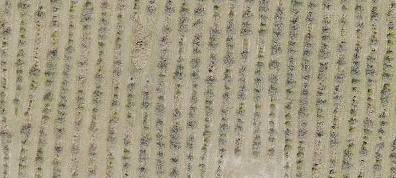 Land on Griffin Road