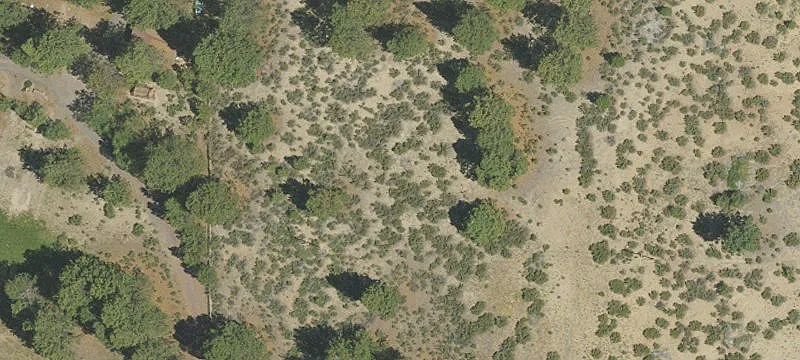 Land Near Highway 97 Exit
