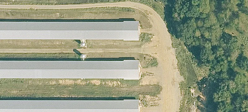 Turn-Key Cattle & Equine Property