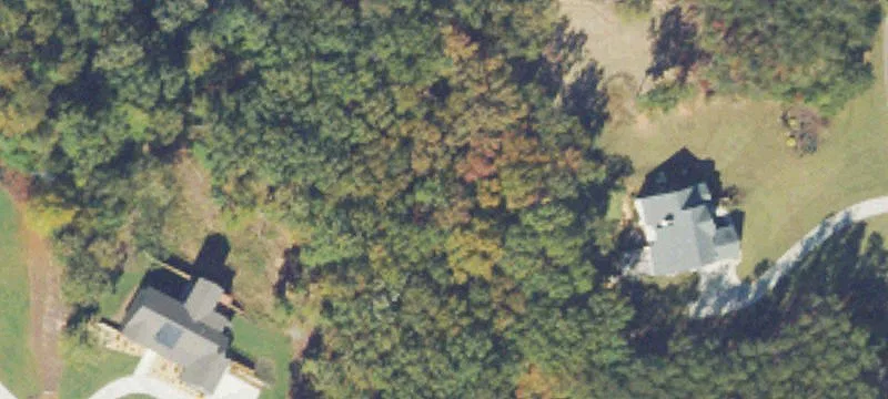 Wooded Lot in Ball Ground