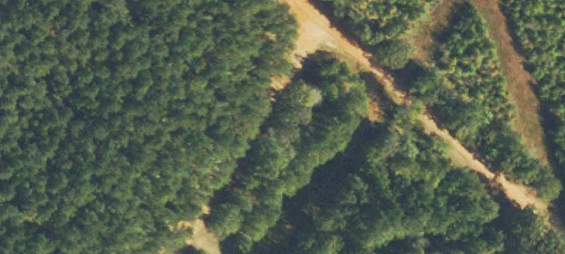 Recreational Land with Timber Investment