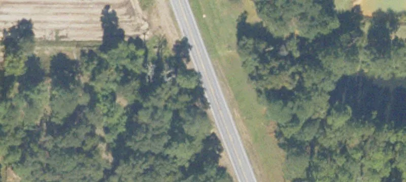 Former Nursery on 250 Acres