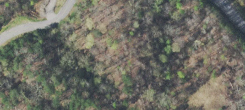 Wooded Lot Near Lake Access