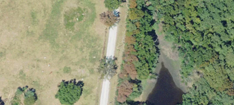 Undeveloped Land in Magnolia, MS