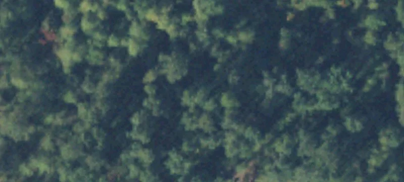 4.85 Acre Land Parcel