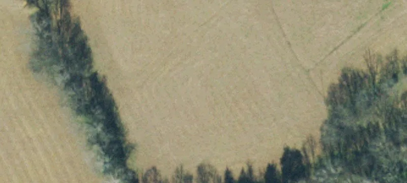 Diverse Tennessee Countryside Opportunity