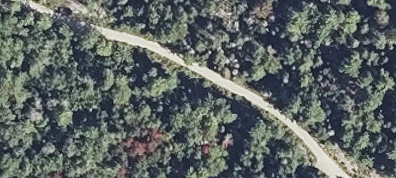 Wooded Lot in Private Setting