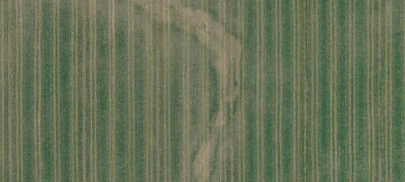 52 Acres Agricultural Land For Sale