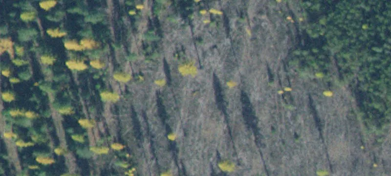 North Idaho Resort Property