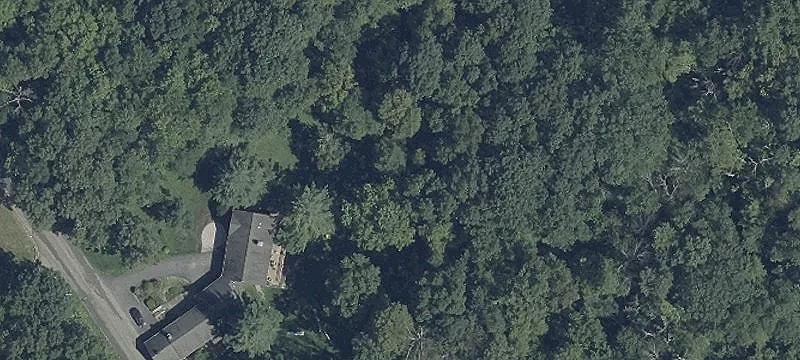 Spacious Duplex on Wooded Lot