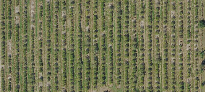 9.04 Acres on County Road