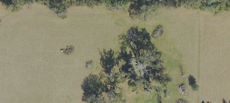 91.5 Acres in Jackson County