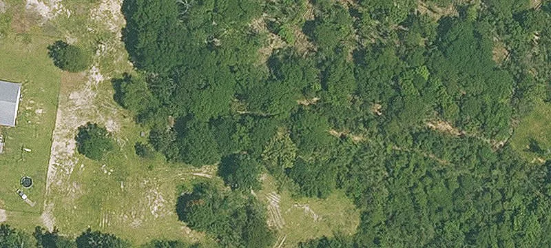 Large Lots in Live Oak