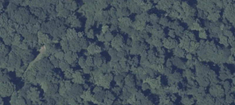 Wooded Land Parcel For Sale