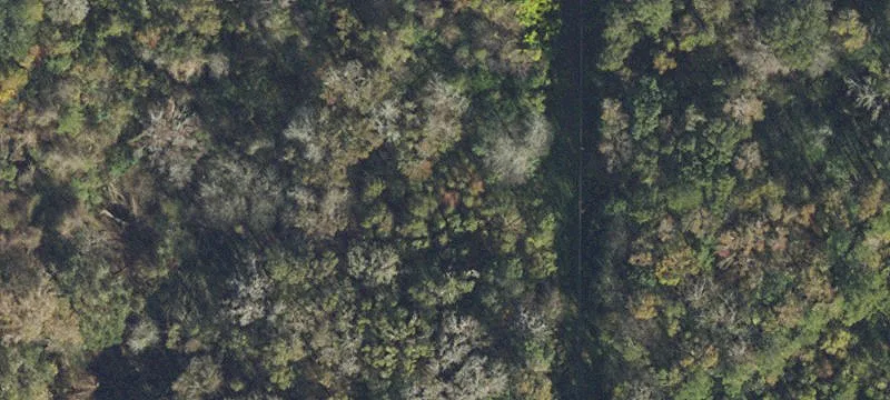 Two Industrial Parcels in Alachua