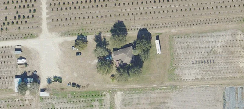 Thriving Tree Farm and Nursery