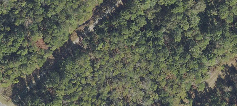 Georgetown Homesite Near Lakes