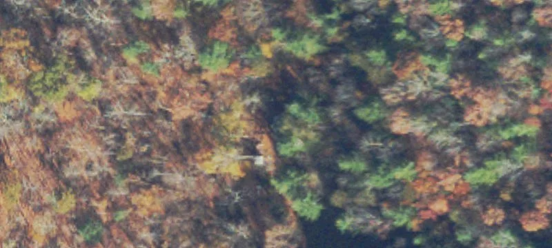Wooded Acreage with Approved Permits