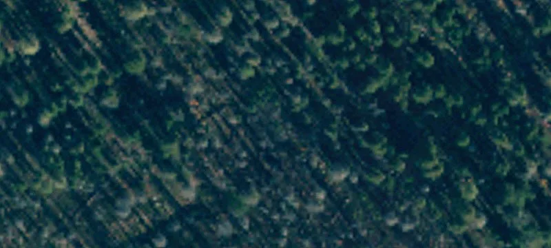 Mazama Homesite in Edelweiss Community