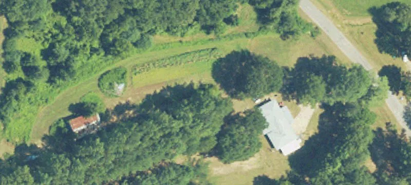 Acreage with Hardwoods and Pines