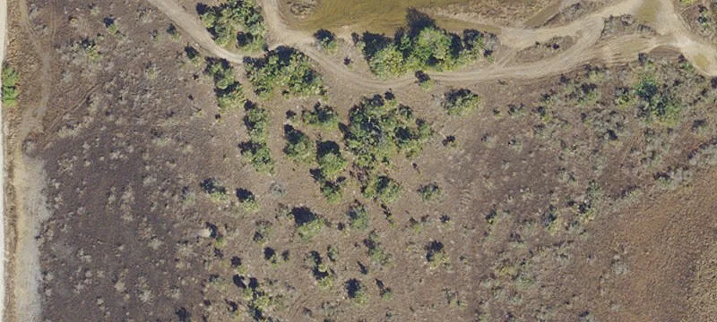 Charlotte County 10-Acre Land Parcel