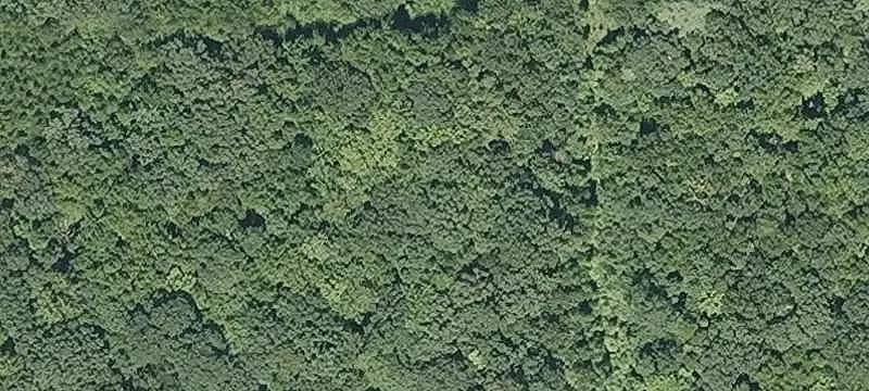 31 Acres Development Opportunity