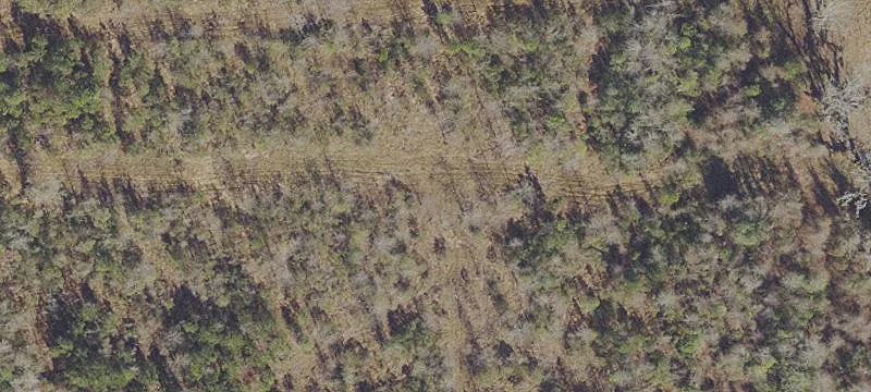 Hilliard Acreage: Build Your Dream