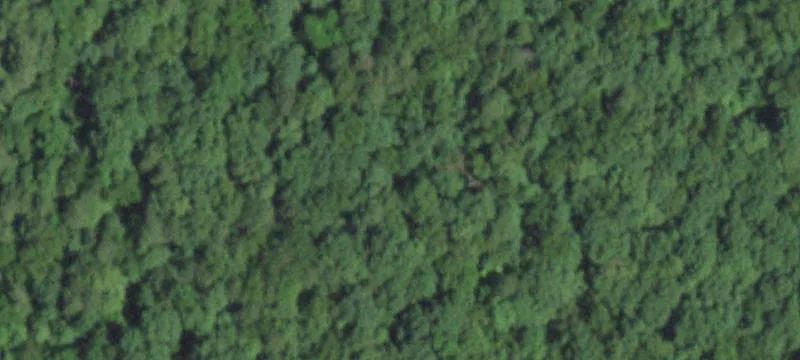 11+ Acre Wooded Retreat