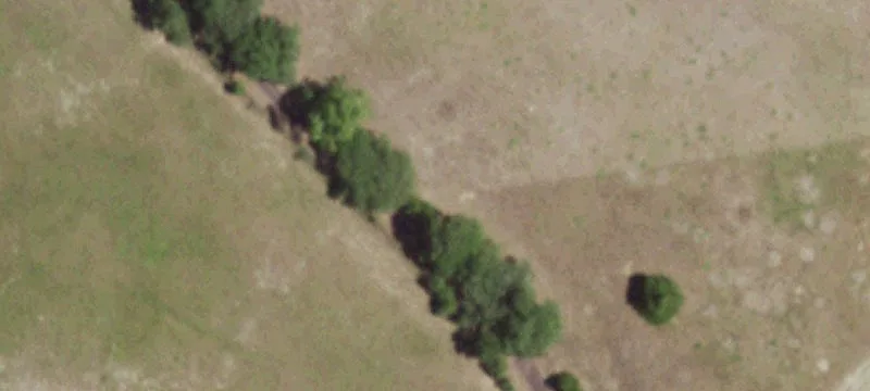 Secluded East Texas Timberland